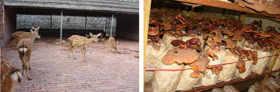 深圳市博霖印刷有限公司 深圳市博霖印刷有限公司